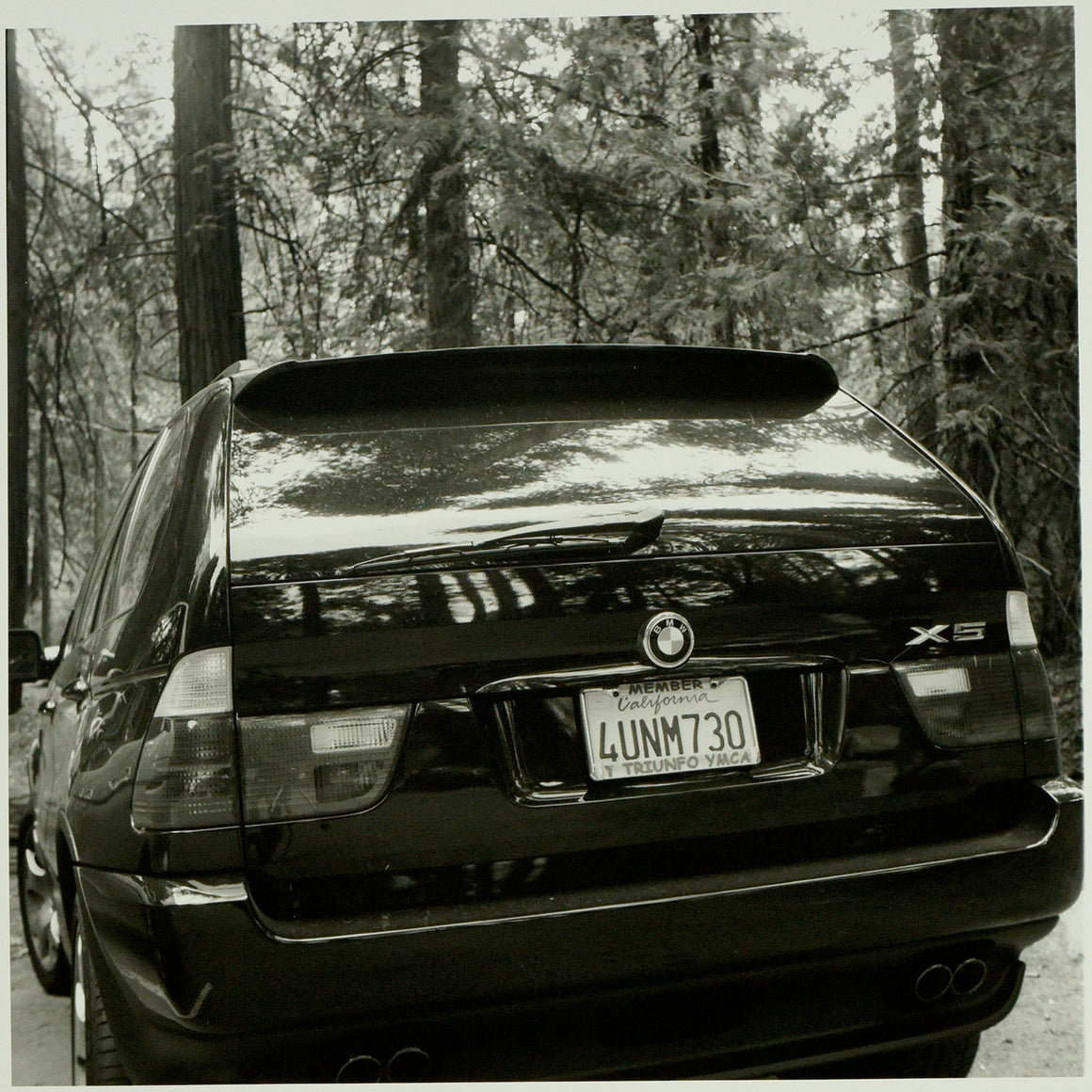 Cars of Yosemite: BMW