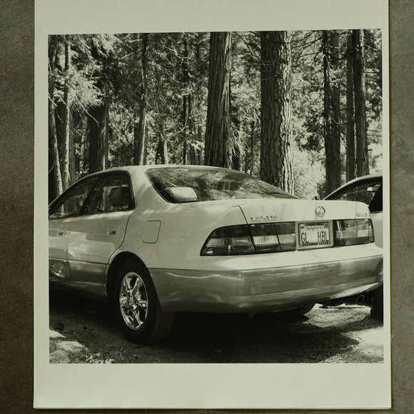 Cars of Yosemite: Lexus