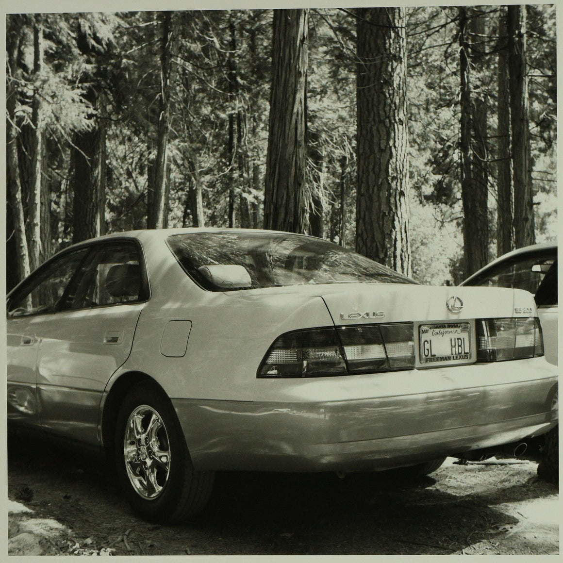 Cars of Yosemite: Lexus